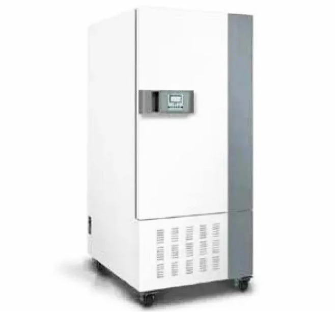 imaxe-8